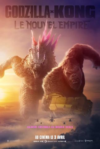 Godzilla vs King AFFICHE